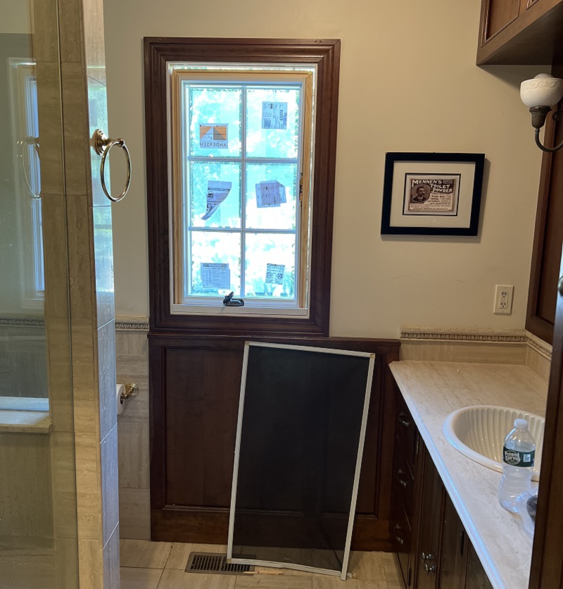 Insulated Low-E Argon window